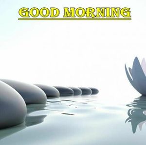 Meet your Posher, Andres